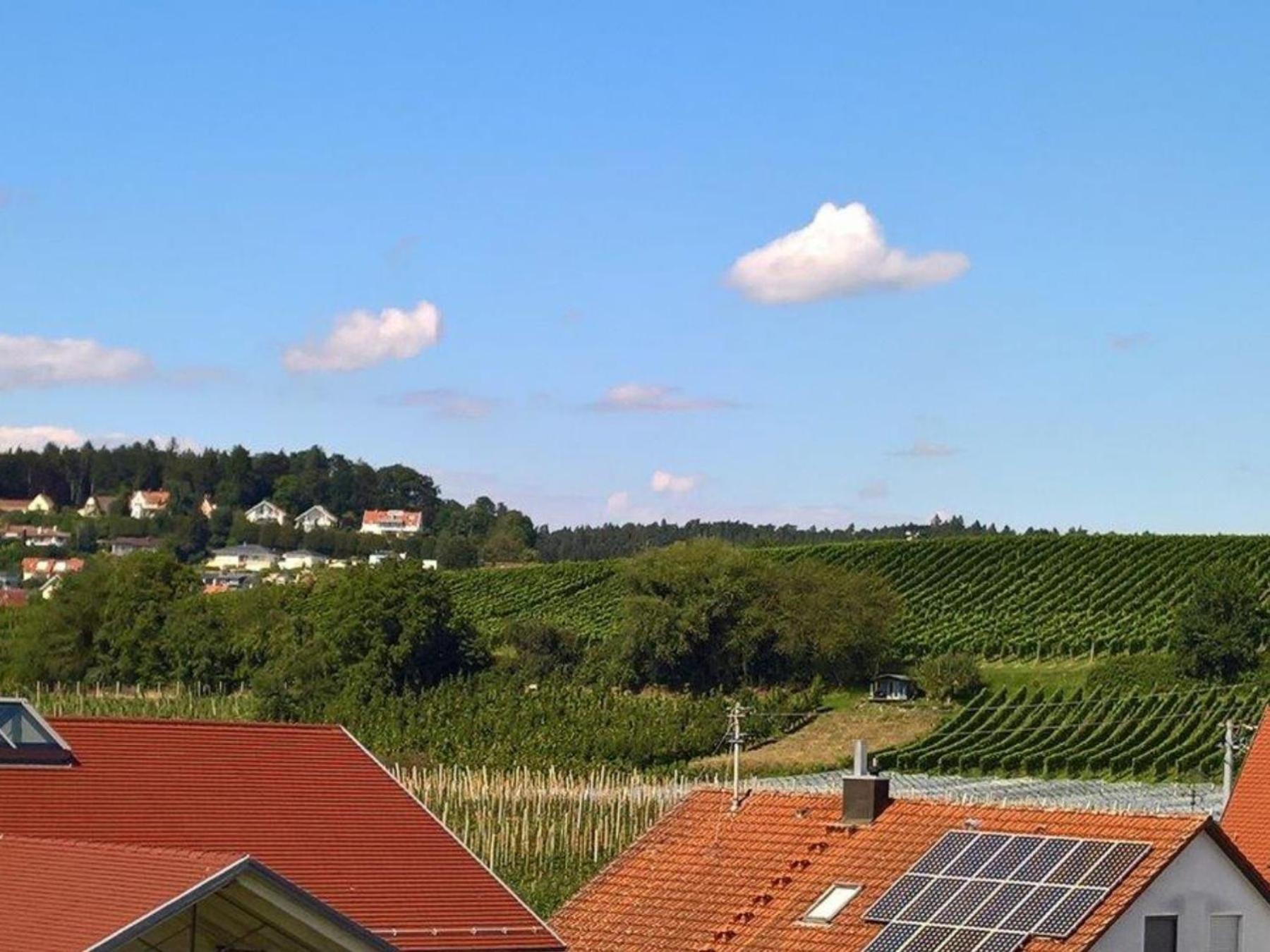 Ferienwohnung Niedan Kressbronn am Bodensee Exteriör bild